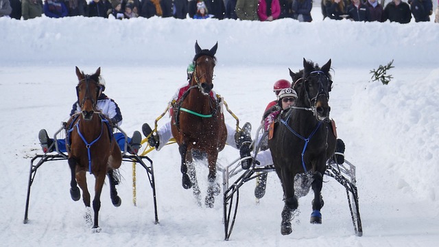 足够的资本 足够的资本