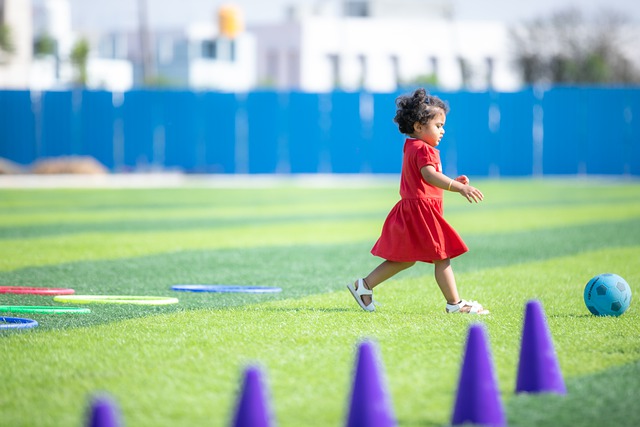 本文将深入 本文将深入