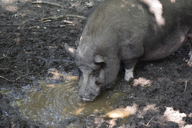 字相加减 字相加减