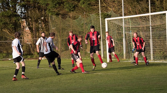 同时也为各 同时也为各